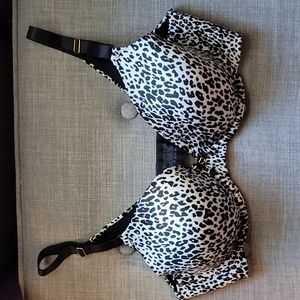 Leopard Print Bra 38C